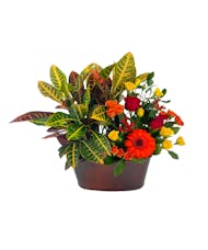 Croton and Fresh Flowers
