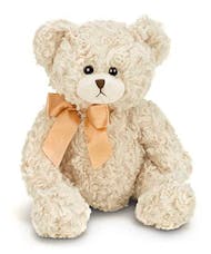 Huggles the Teddy Bear