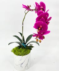 Purple Silk Single Orchid
