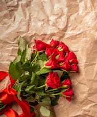 Wrapped Dozen Roses
