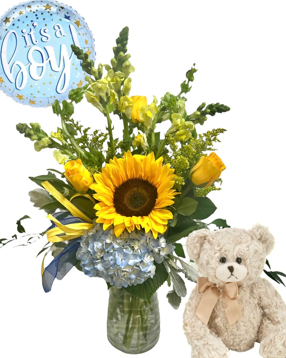 Baby Boy Surprise Florist Southaven MS, Flower Shop Memphis TN