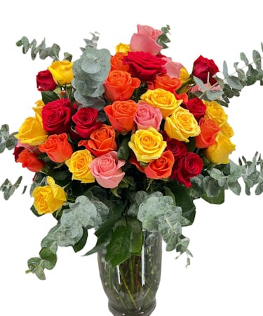 Mixed Color Roses, 70 Roses