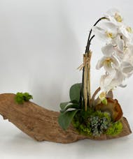Driftwood Sculpture with Orchids