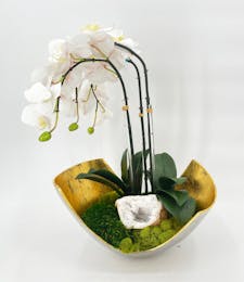 Silk Orchid in Gold Bowl